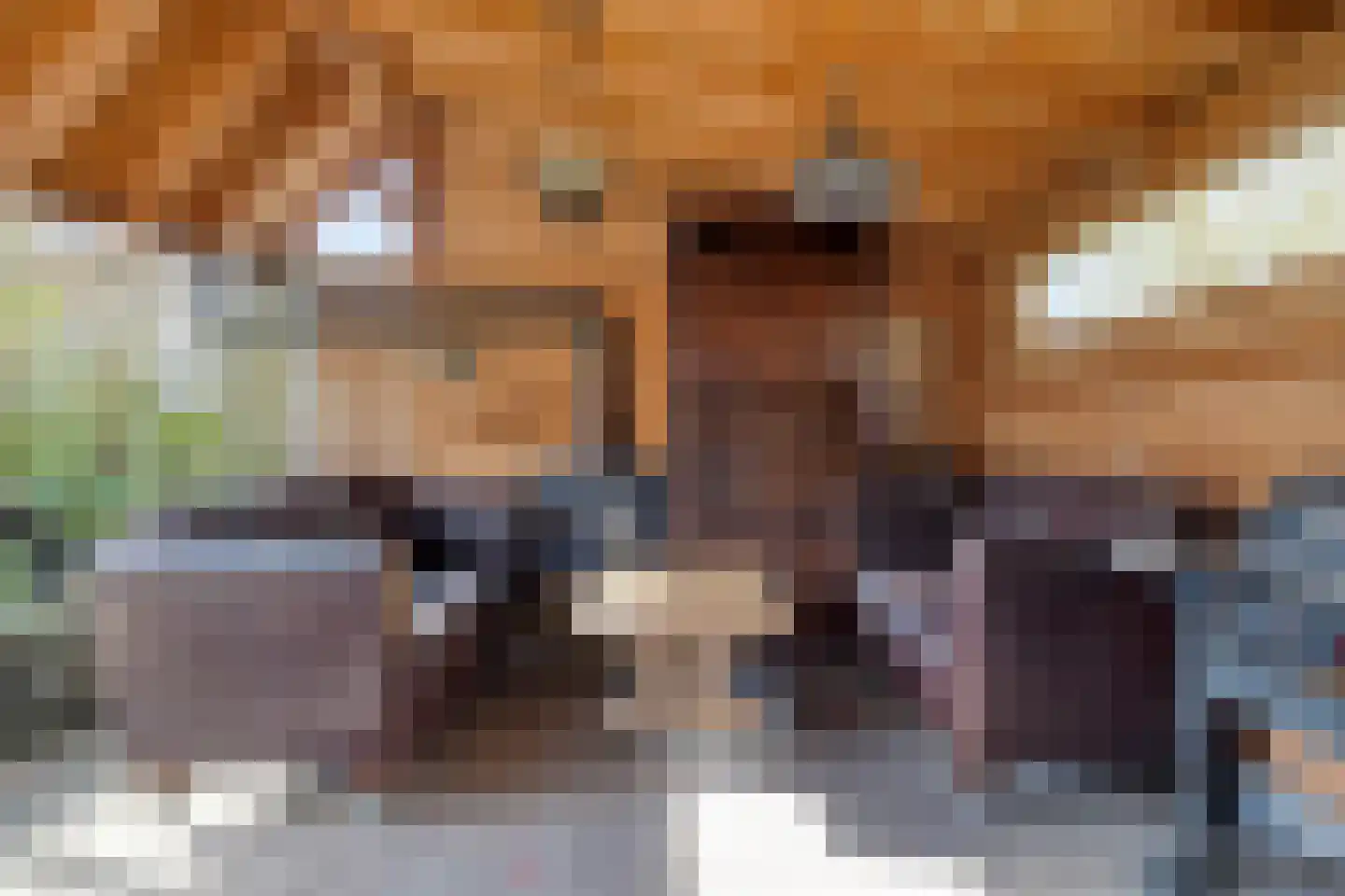 de Karekiet 9 Denekamp thumbnail 38