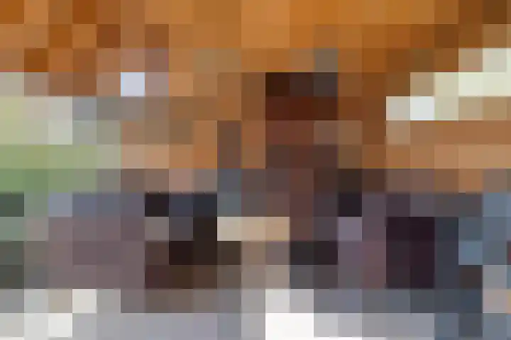 de Karekiet 9 Denekamp thumbnail 38