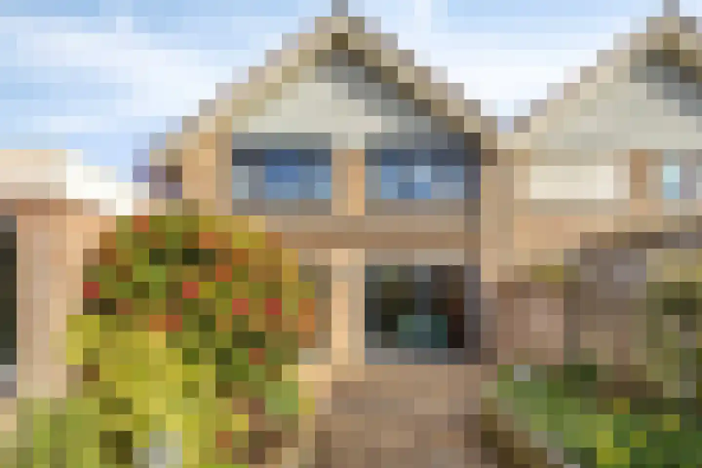 de Karekiet 9 Denekamp thumbnail 40