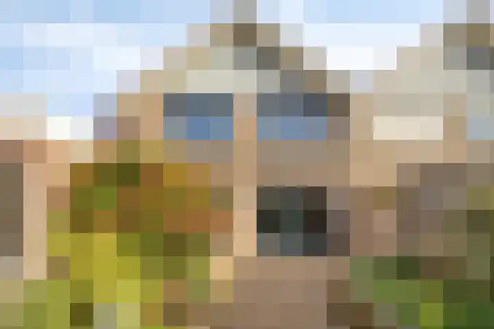de Karekiet 9 Denekamp thumbnail 40