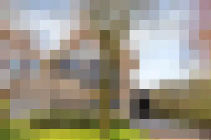 de Karekiet 9 Denekamp thumbnail 41