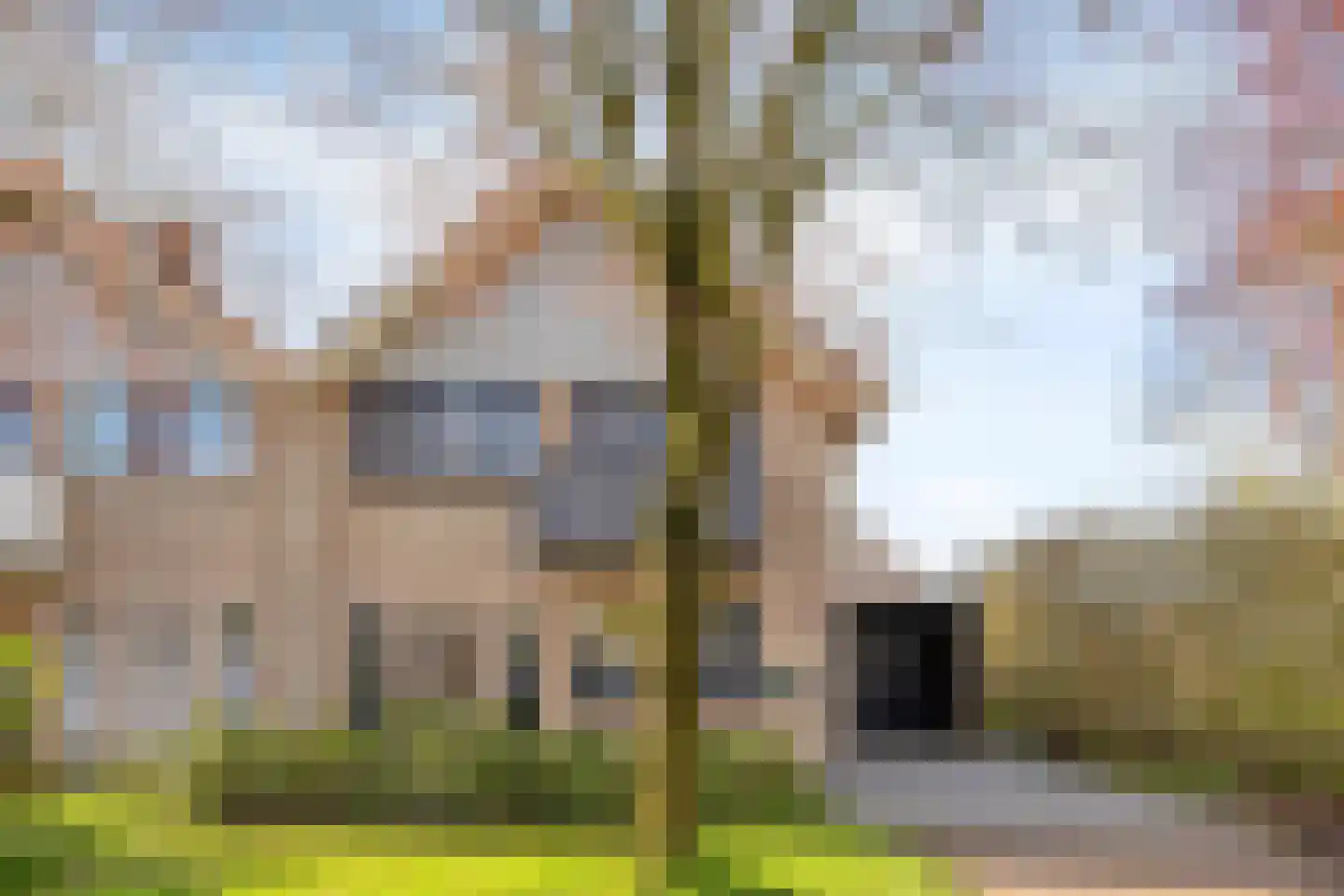 de Karekiet 9 Denekamp thumbnail 41