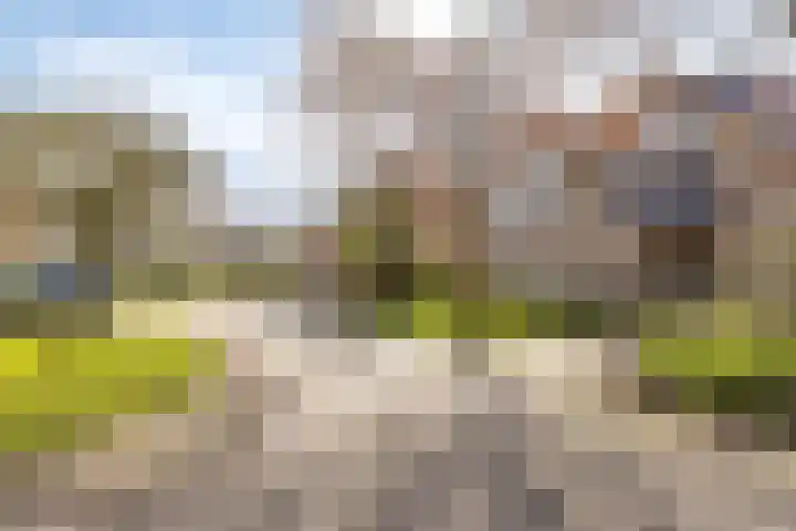 de Karekiet 9 Denekamp thumbnail 42