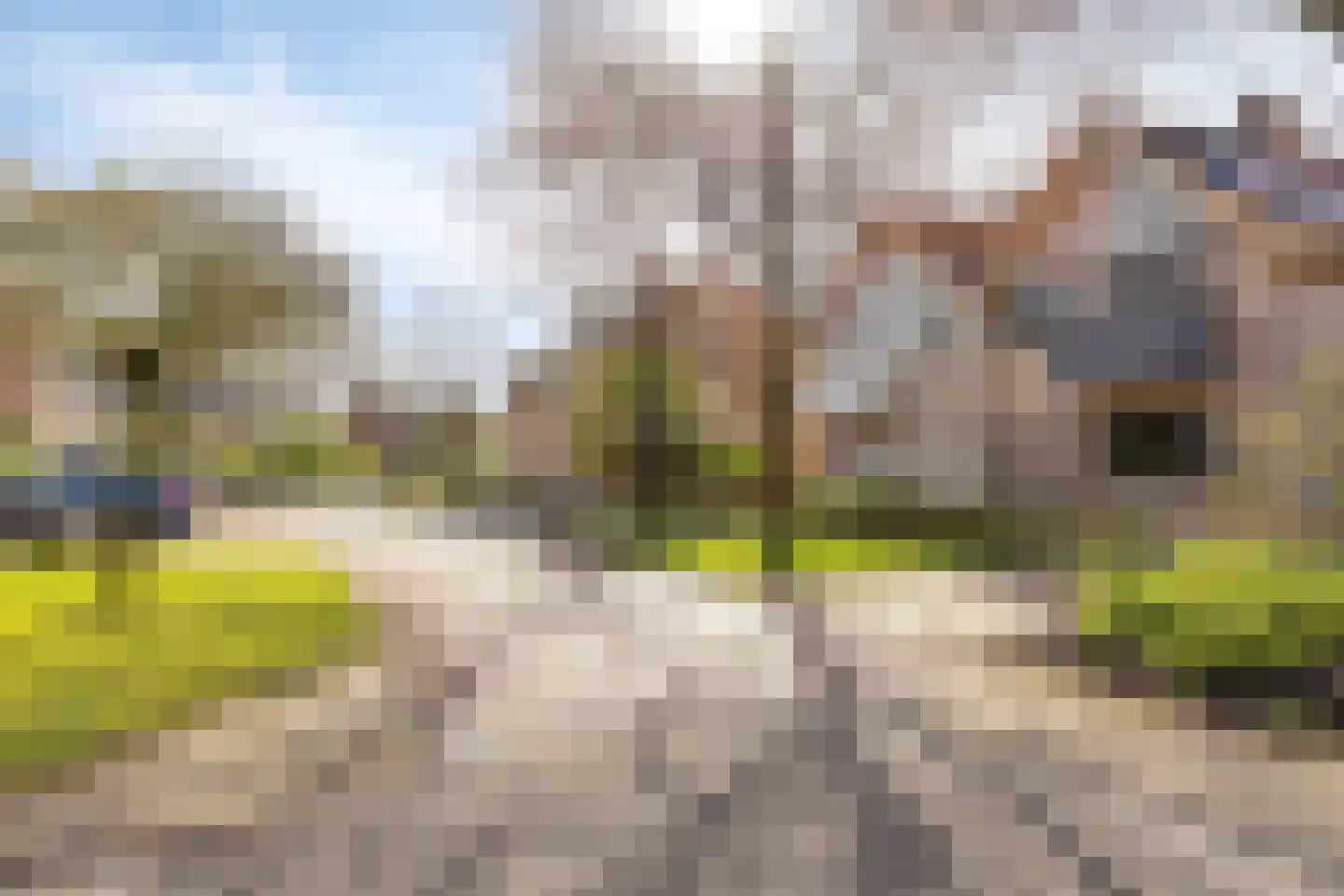 de Karekiet 9 Denekamp thumbnail 42
