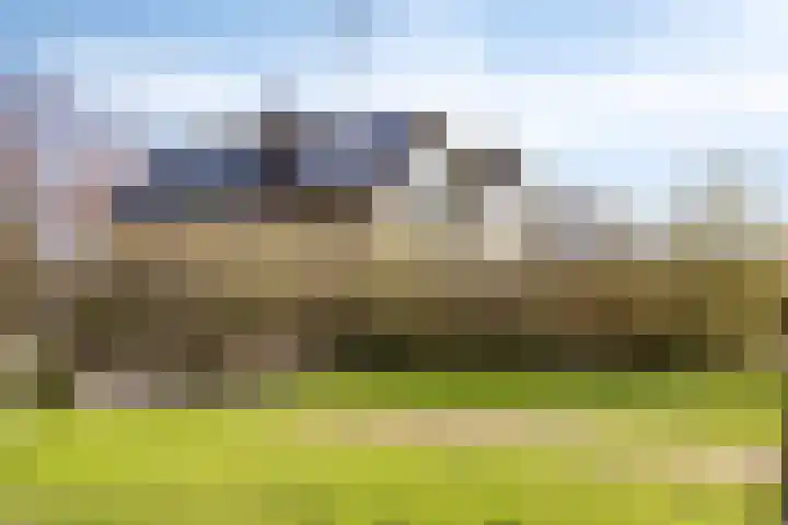 de Karekiet 9 Denekamp thumbnail 43