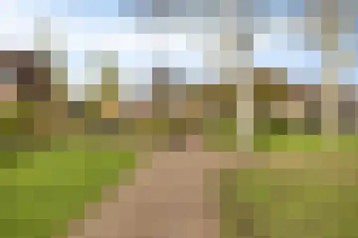 de Karekiet 9 Denekamp thumbnail 44