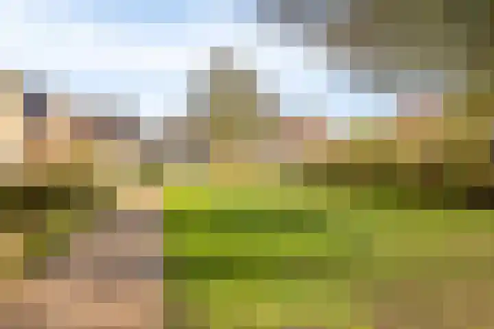 de Karekiet 9 Denekamp thumbnail 46