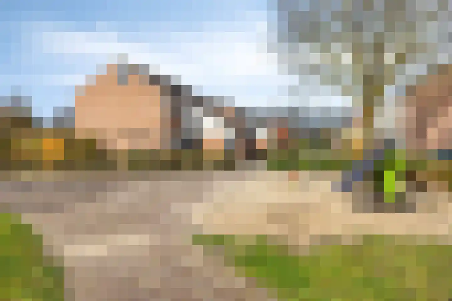 de Karekiet 9 Denekamp thumbnail 47