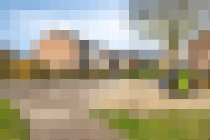 de Karekiet 9 Denekamp thumbnail 47