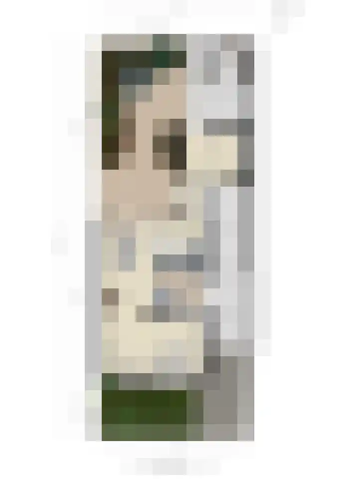 de Karekiet 9 Denekamp thumbnail 48