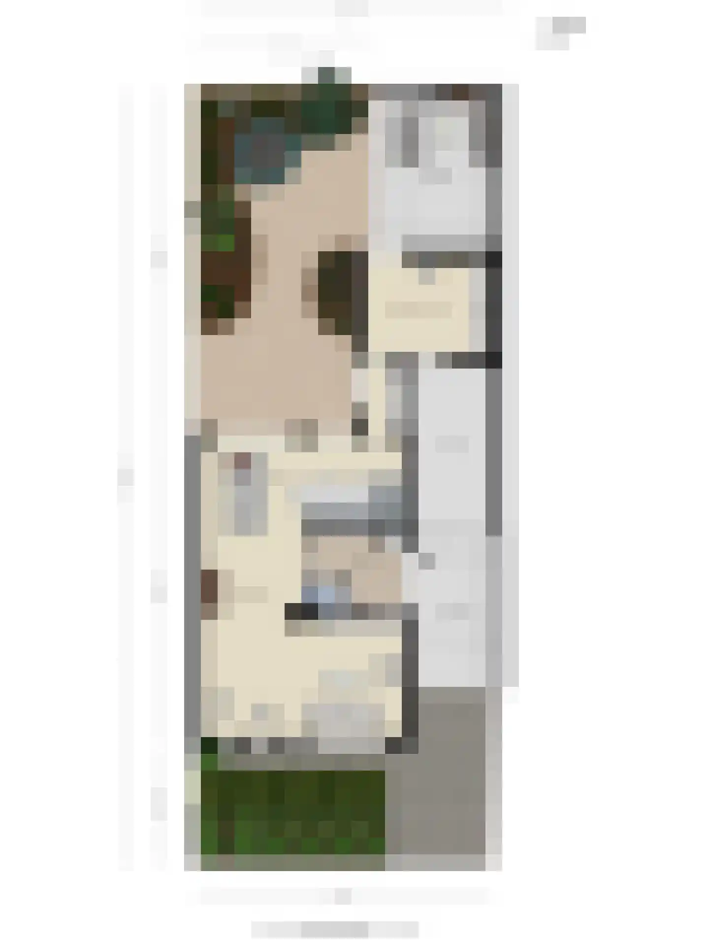 de Karekiet 9 Denekamp thumbnail 48