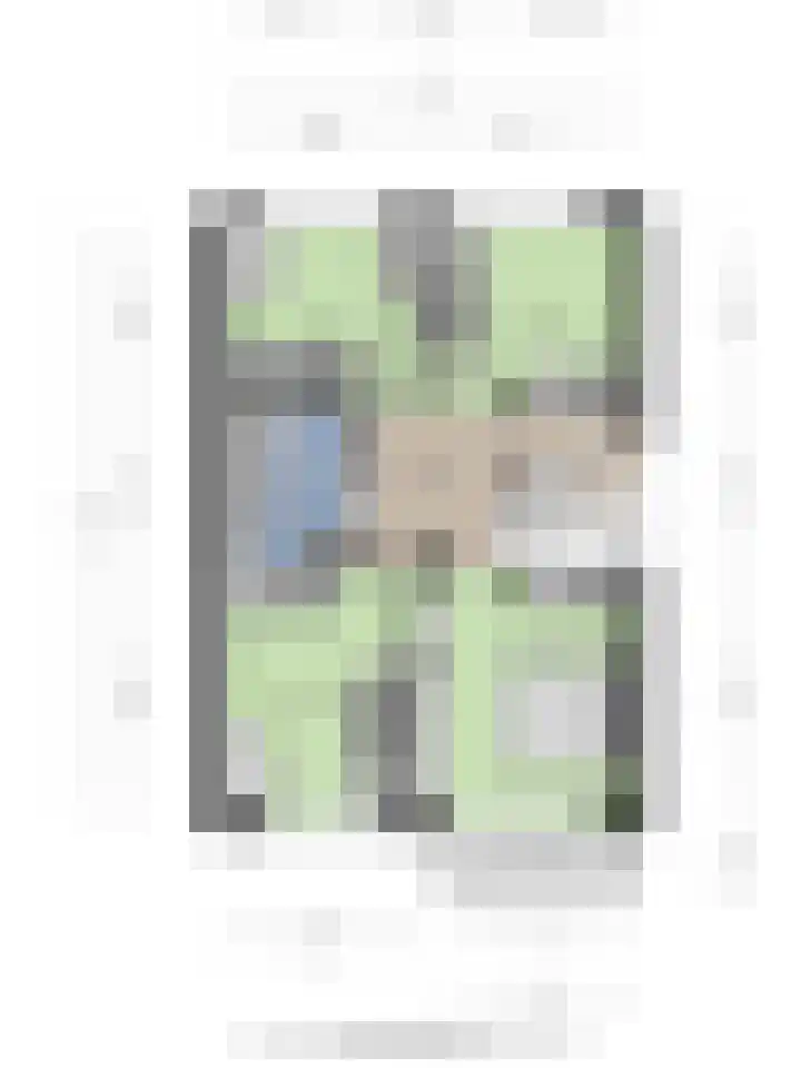 de Karekiet 9 Denekamp thumbnail 50