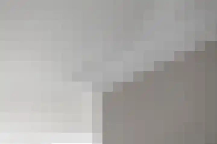 de Karekiet 9 Denekamp thumbnail 6