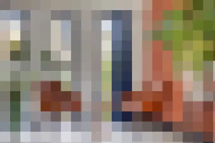 de Karekiet 9 Denekamp thumbnail 8
