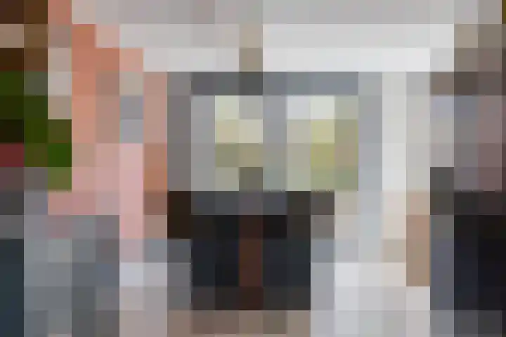 de Karekiet 9 Denekamp thumbnail 9