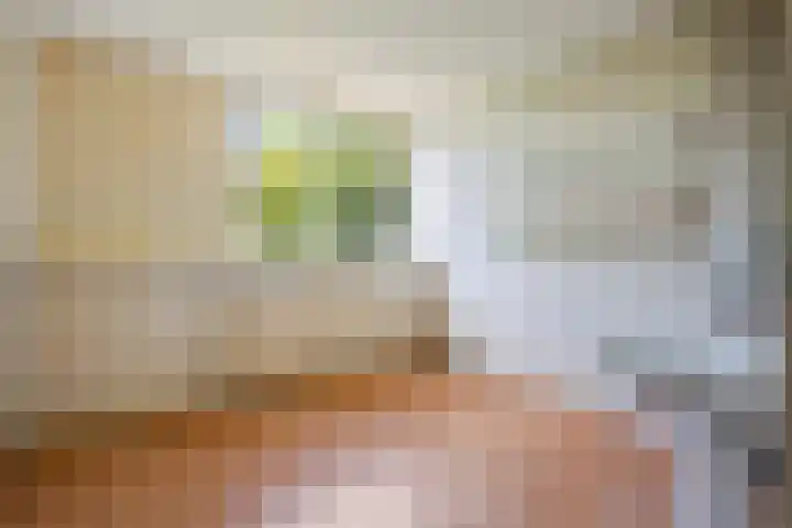 De Karn 38 Malden thumbnail 17
