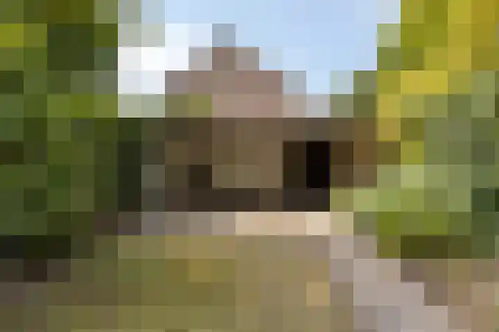 De Karn 38 Malden thumbnail 23
