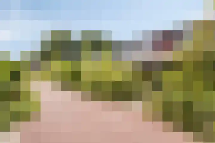 De Karn 38 Malden thumbnail 24