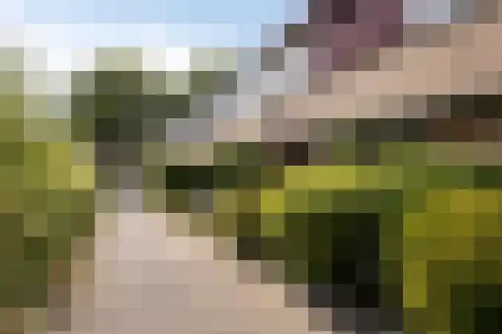 De Karn 38 Malden thumbnail 26