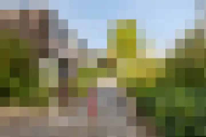 De Karn 38 Malden thumbnail 27
