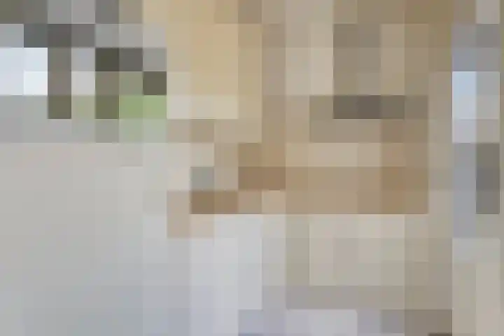 De Karn 38 Malden thumbnail 8