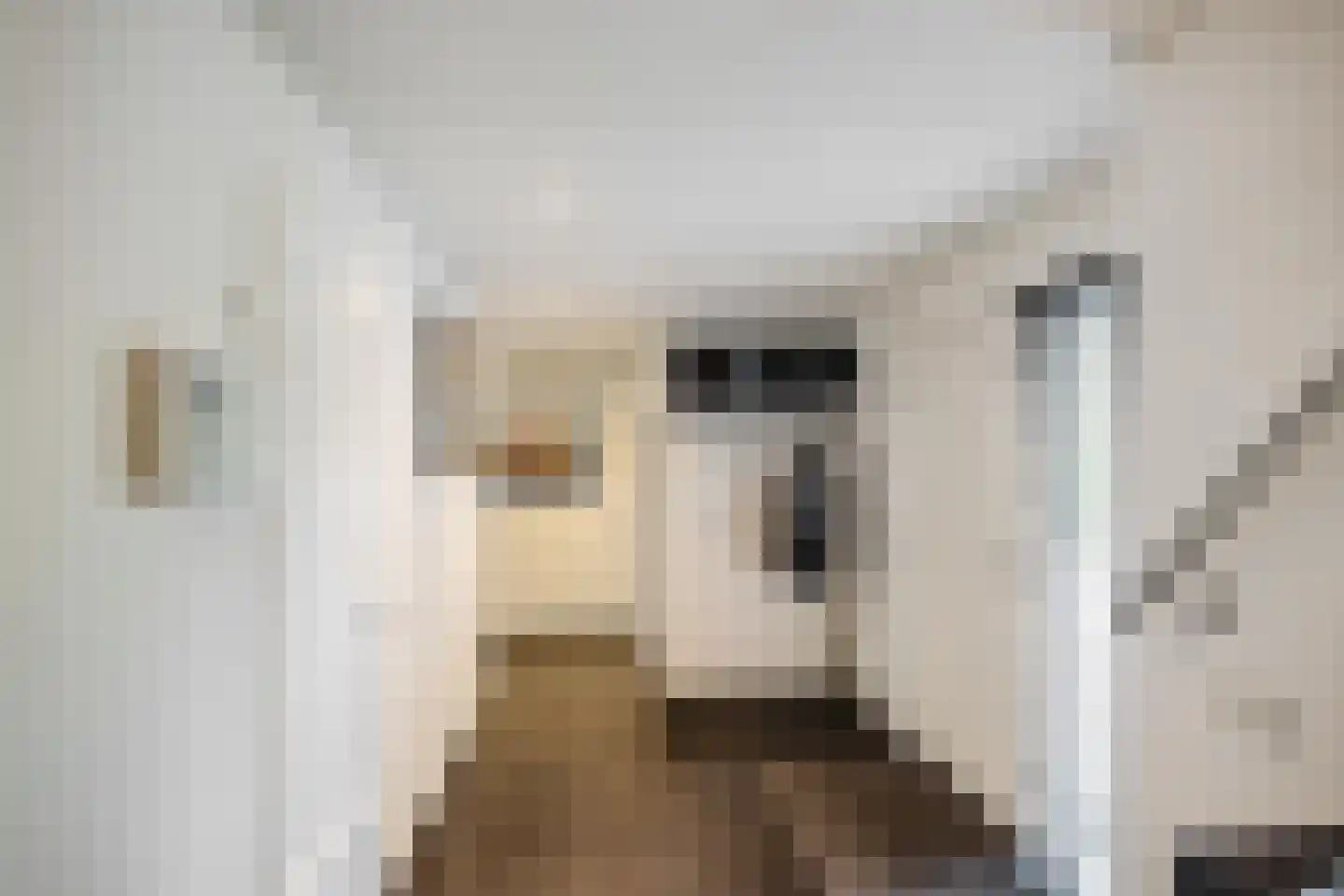 de Karos 13 Leek thumbnail 13