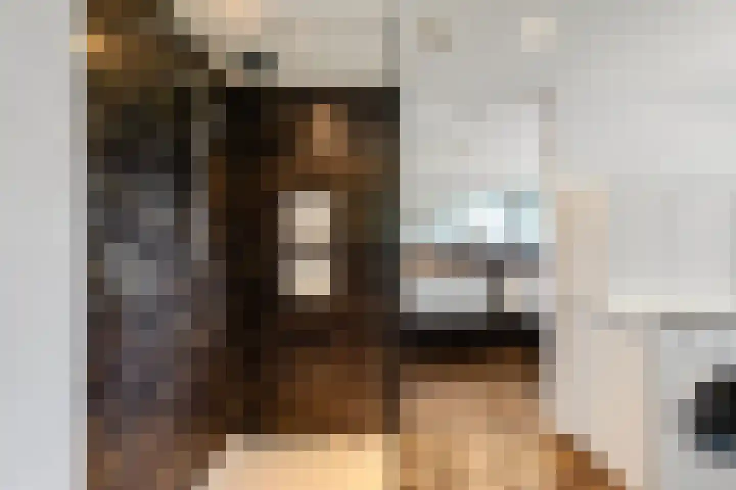 de Karos 13 Leek thumbnail 14