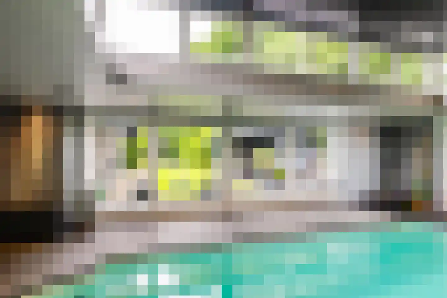 de Karos 13 Leek thumbnail 17