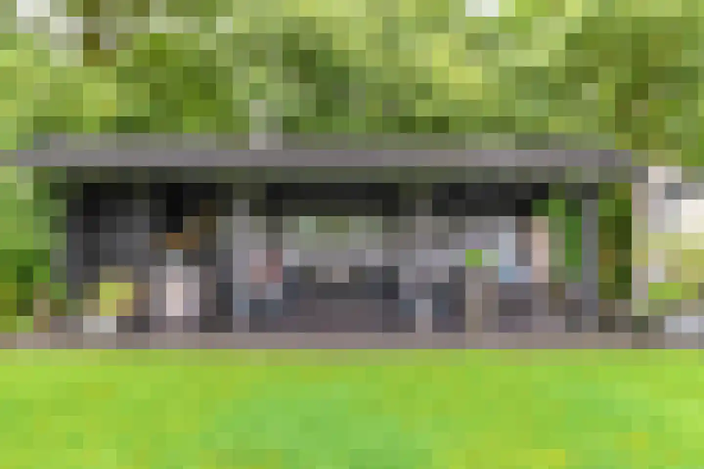 de Karos 13 Leek thumbnail 37