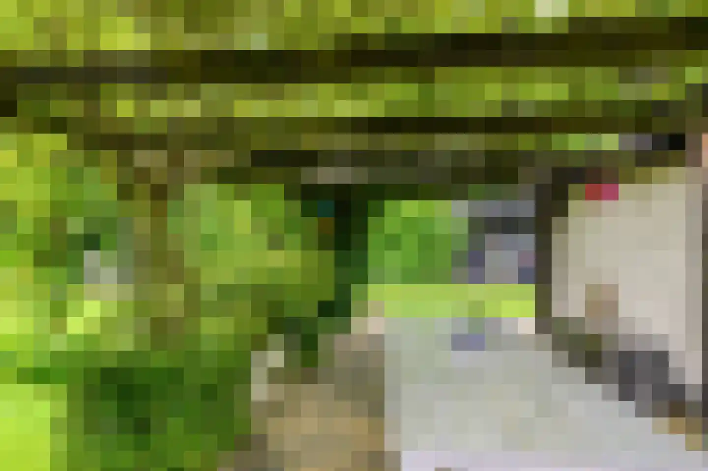 de Karos 13 Leek thumbnail 38