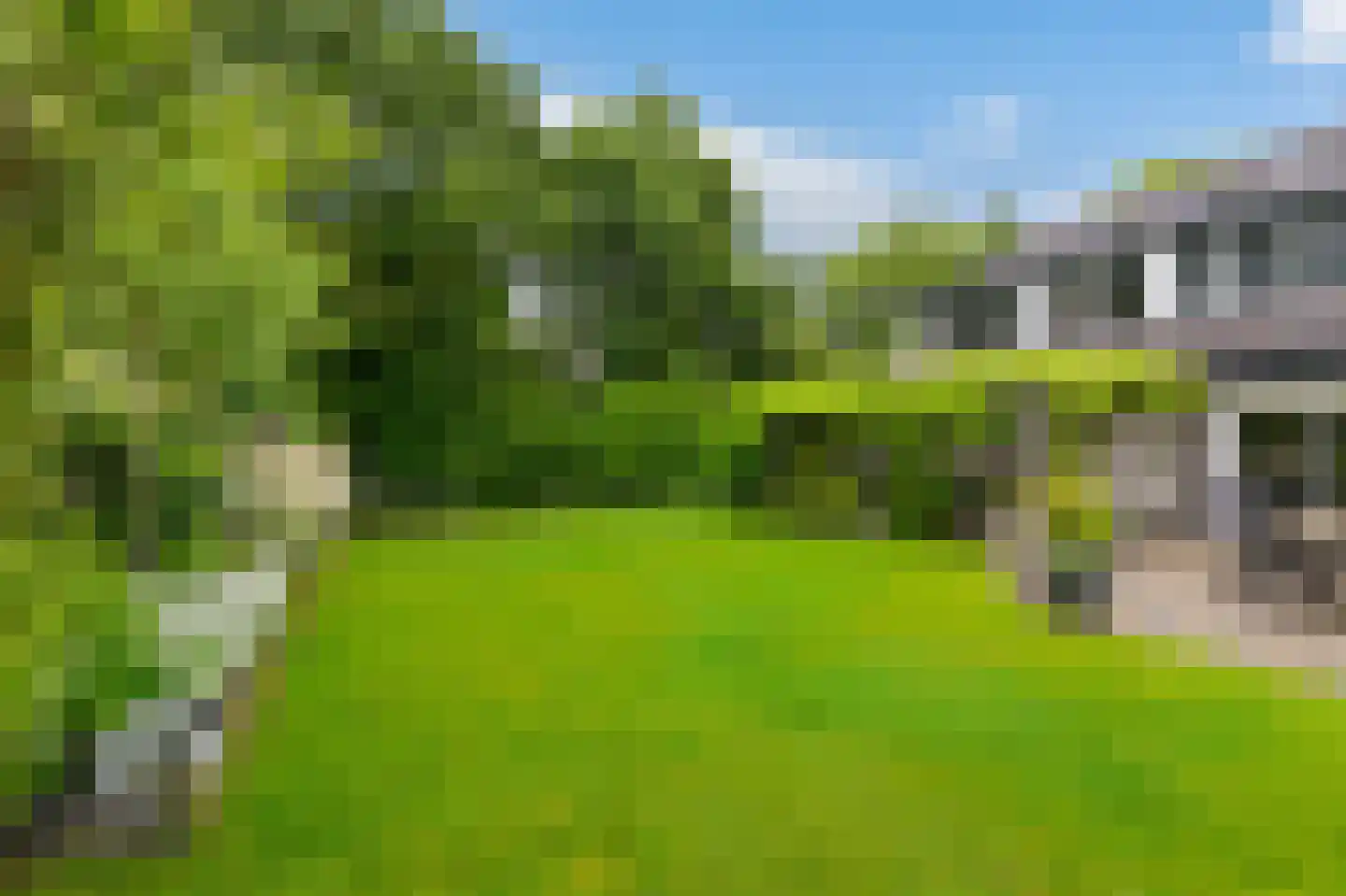 de Karos 13 Leek thumbnail 39