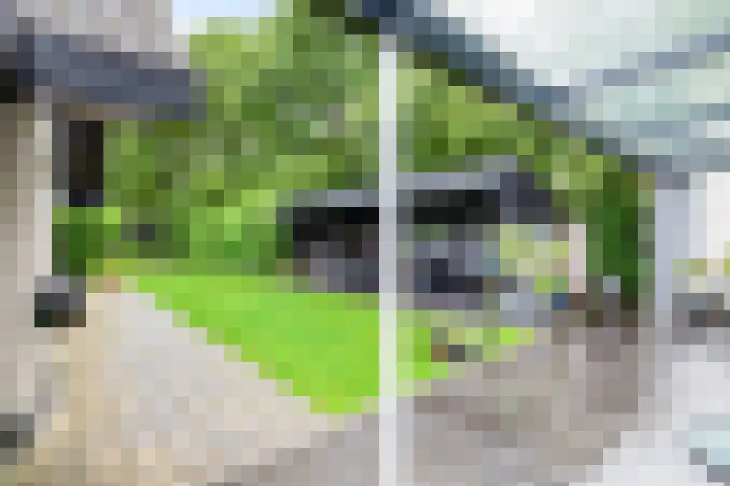 de Karos 13 Leek thumbnail 40