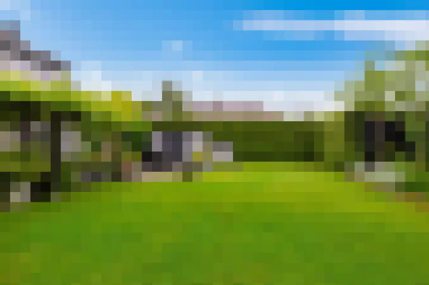 de Karos 13 Leek thumbnail 41