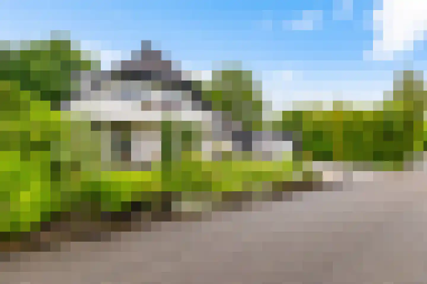 de Karos 13 Leek thumbnail 43