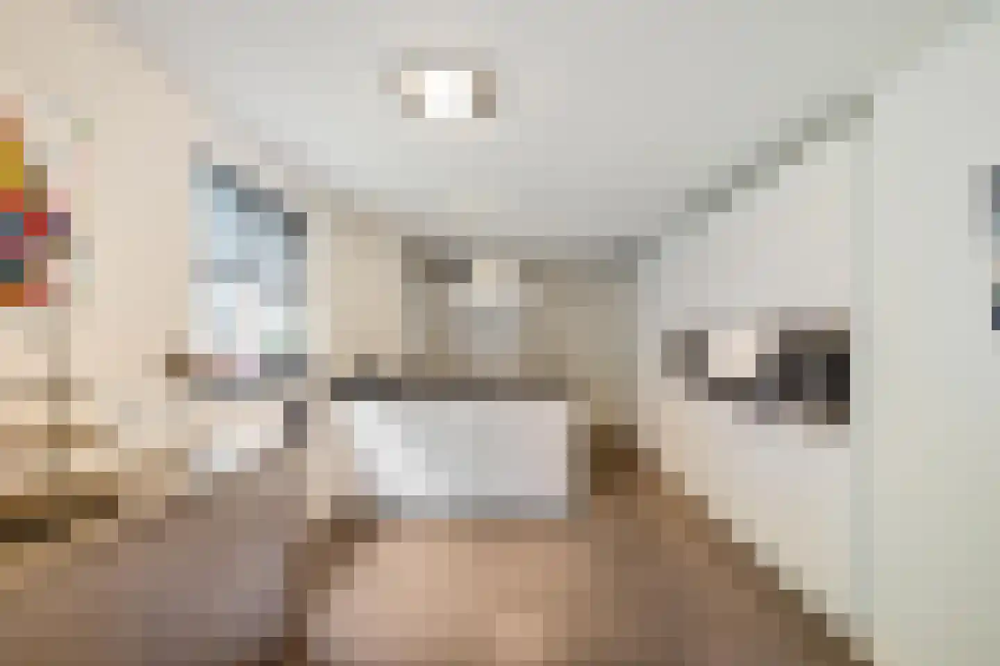 de Karos 13 Leek thumbnail 7