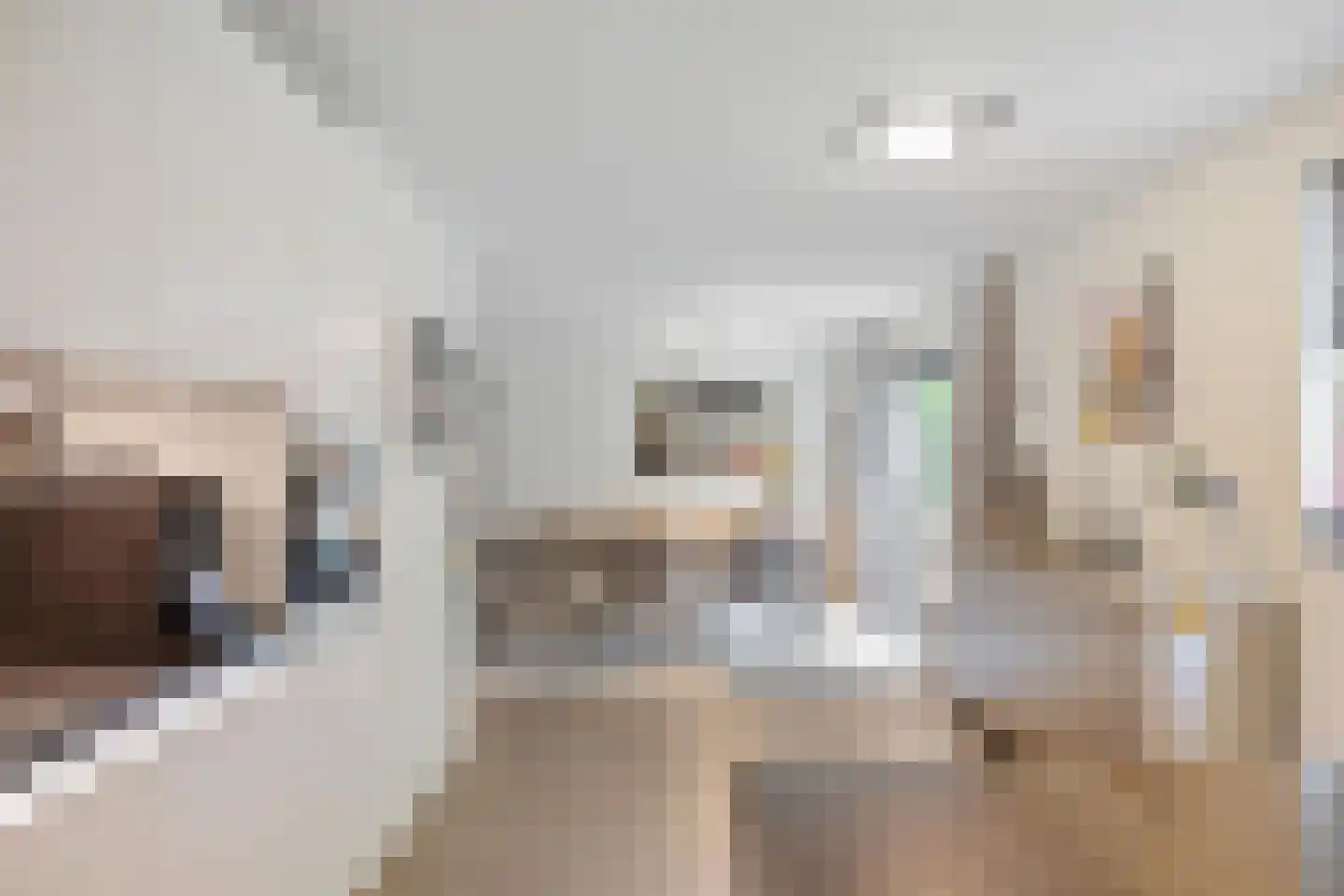 de Karos 13 Leek thumbnail 8