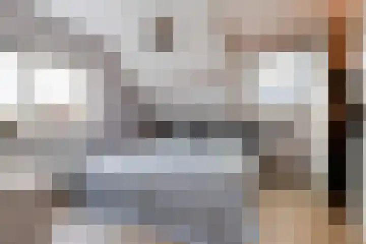 De Karre 8 Brummen thumbnail 25