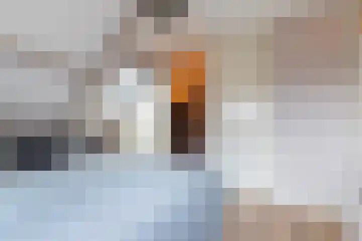 De Karre 8 Brummen thumbnail 27