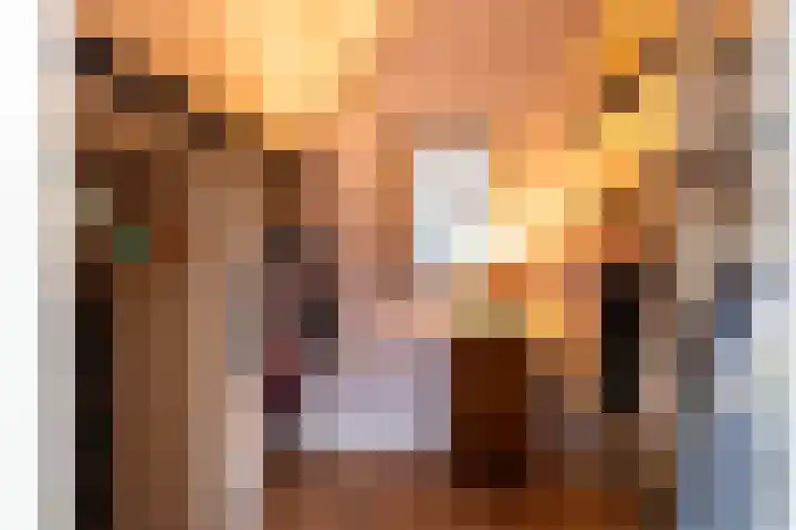 De Karre 8 Brummen thumbnail 28