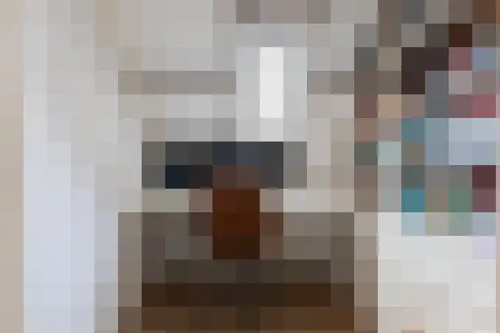 De Karre 8 Brummen thumbnail 31
