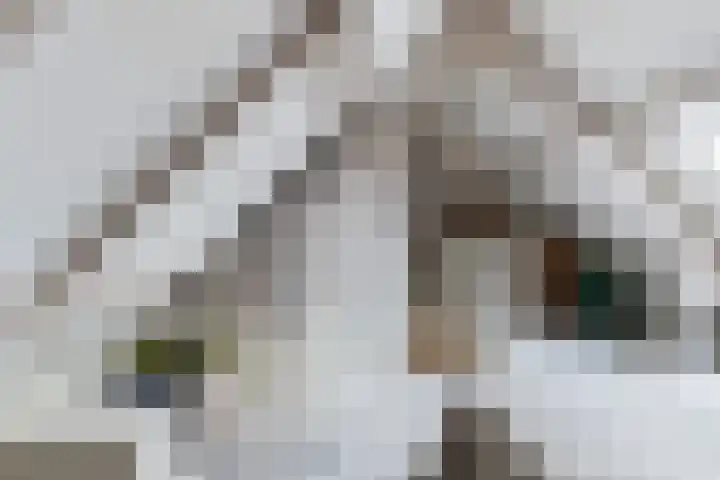 De Karre 8 Brummen thumbnail 35