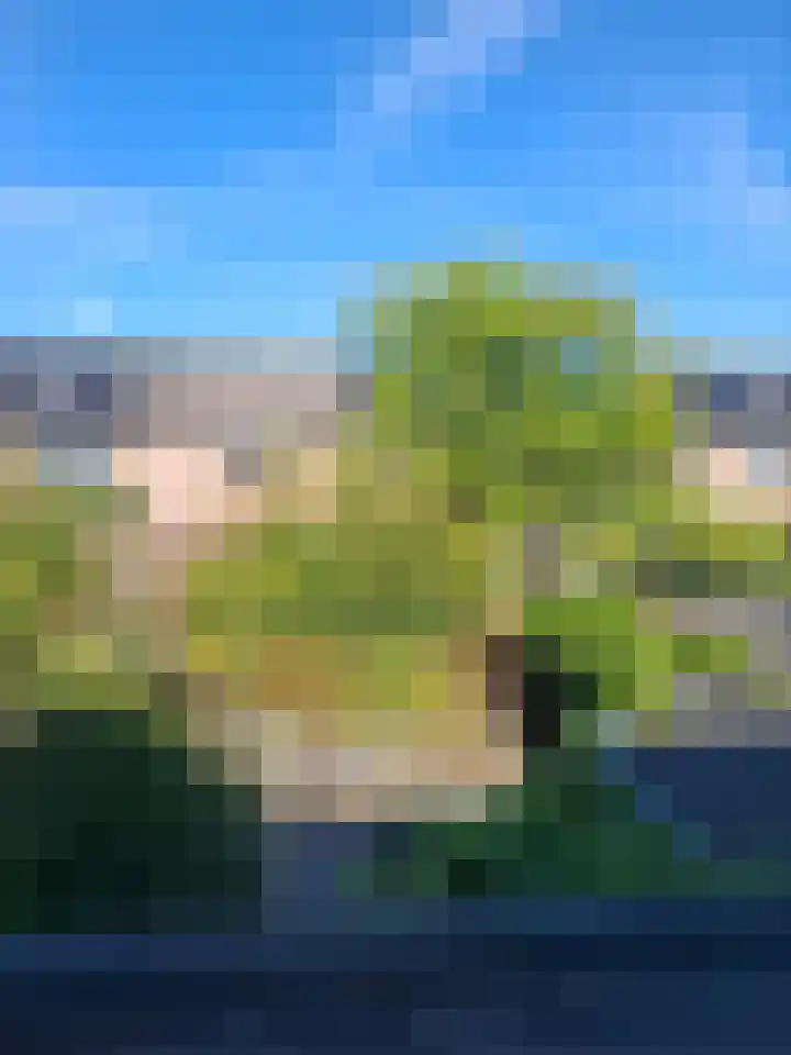 De Karre 8 Brummen thumbnail 39