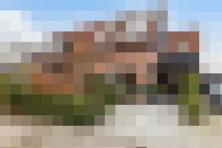 De Karre 8 Brummen thumbnail 6