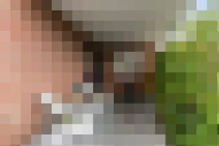 De Karre 8 Brummen thumbnail 7
