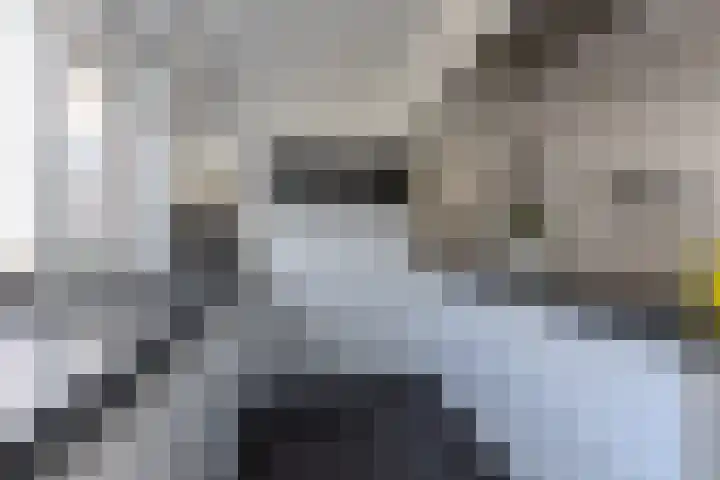 De Karsseboom 5 Wormer thumbnail 10