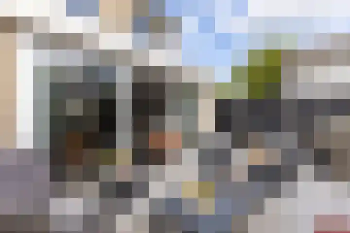 De Karsseboom 5 Wormer thumbnail 12