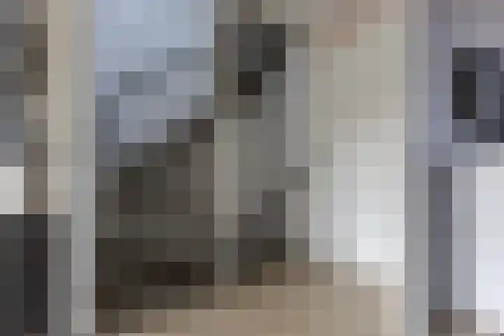 De Karsseboom 5 Wormer thumbnail 16