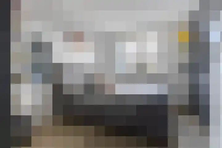 De Karsseboom 5 Wormer thumbnail 17