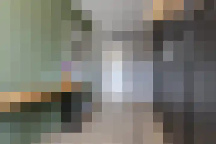 De Karsseboom 5 Wormer thumbnail 20