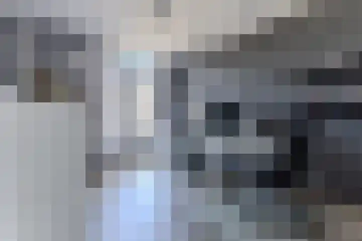 De Karsseboom 5 Wormer thumbnail 21